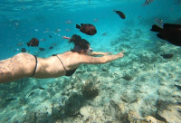 /album/fotogaleria-zanzibar-zajazd-vy-a-my1/zanzibar-zajazd-dovolenka-4-jpg1/